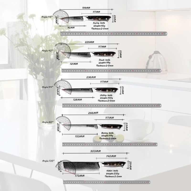 67 Layer Damascus Steel Kitchen Knife Set 10 Piece