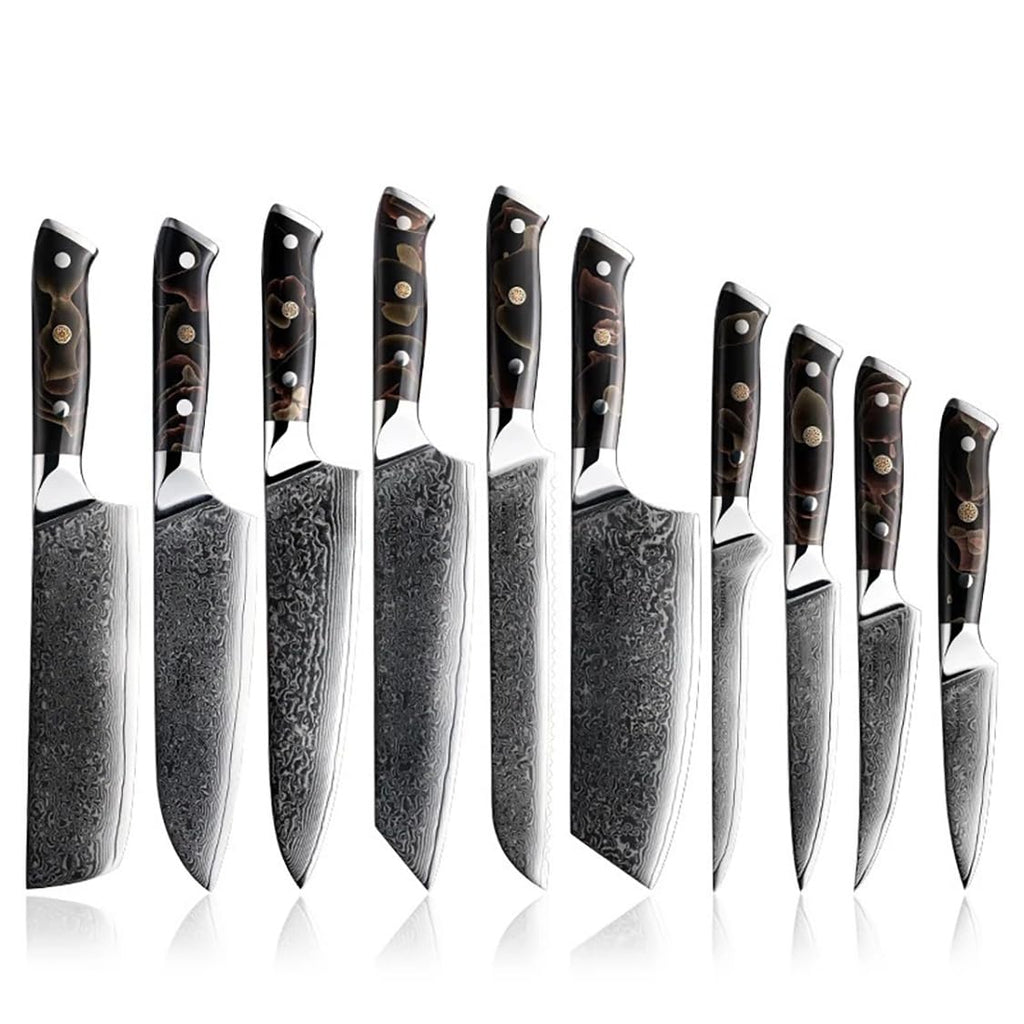 67 Layer Damascus Steel Kitchen Knife Set 10 Piece